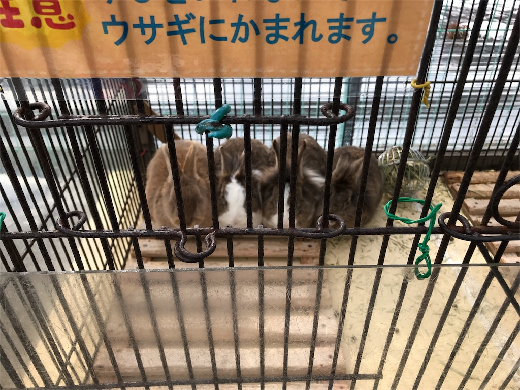 f:id:calico1978:20170424202830j:image f:id:calico1978:20170424202830j:image