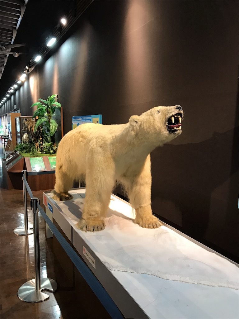 f:id:calico1978:20170424202907j:image f:id:calico1978:20170424202907j:image