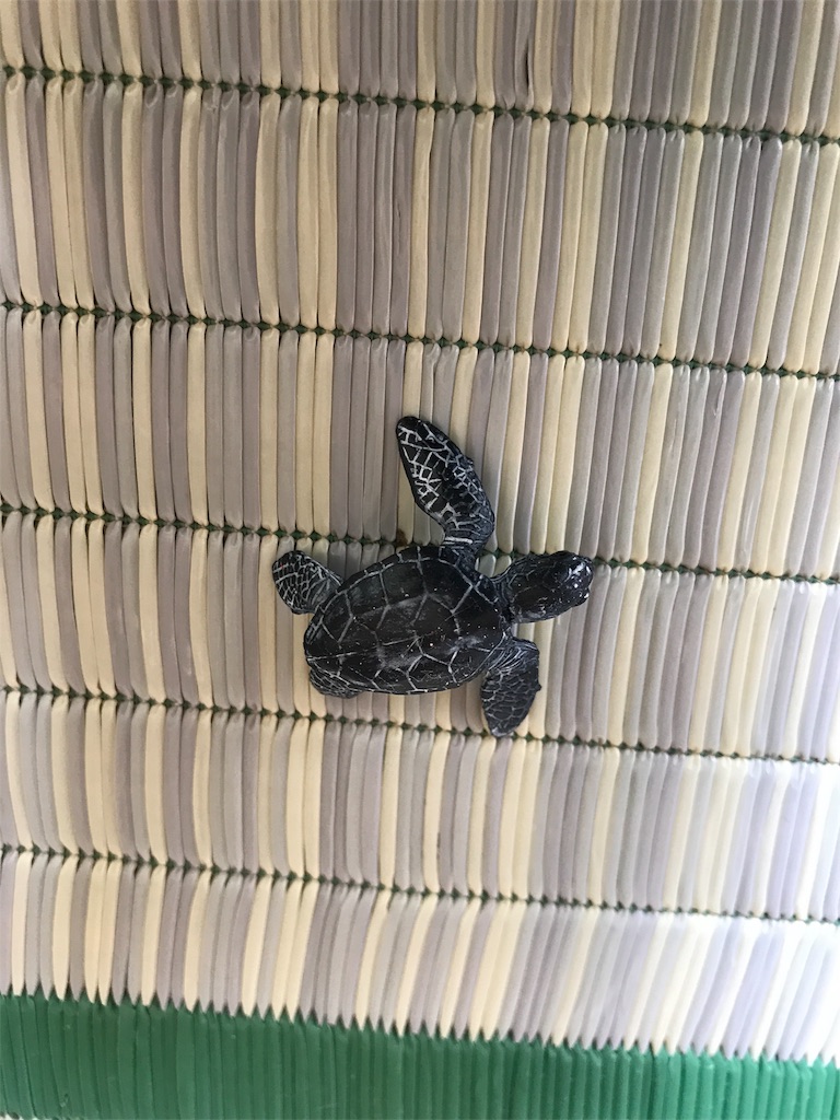 f:id:calico1978:20170718125616j:image f:id:calico1978:20170718125616j:image