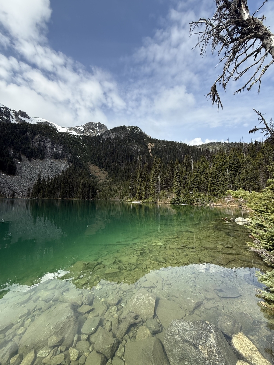 Joffre Middle Lake