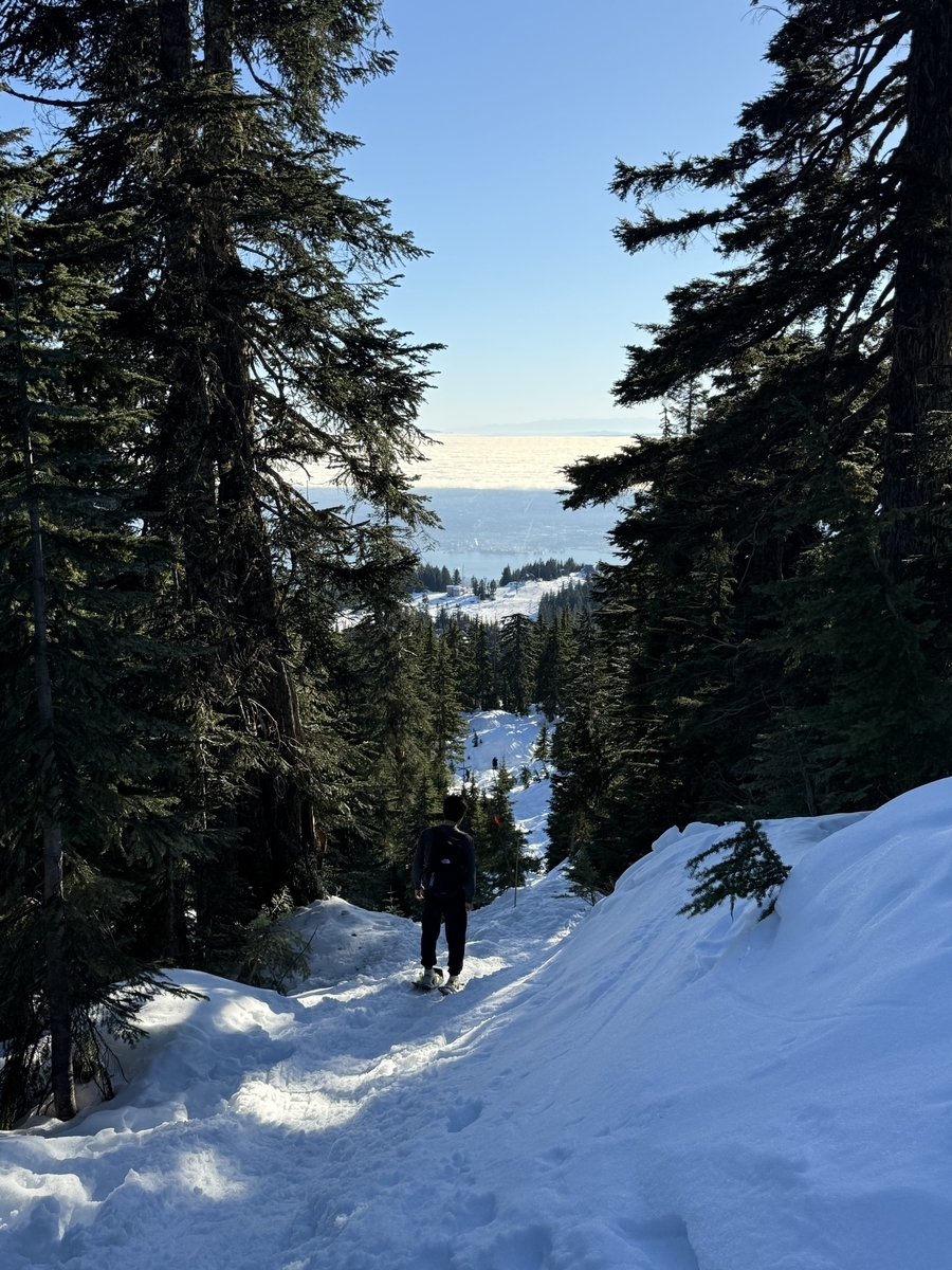 Grouse Mountain