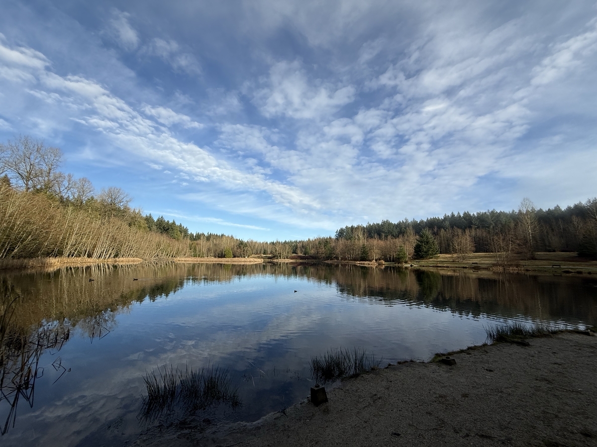 Green Timbers Lake