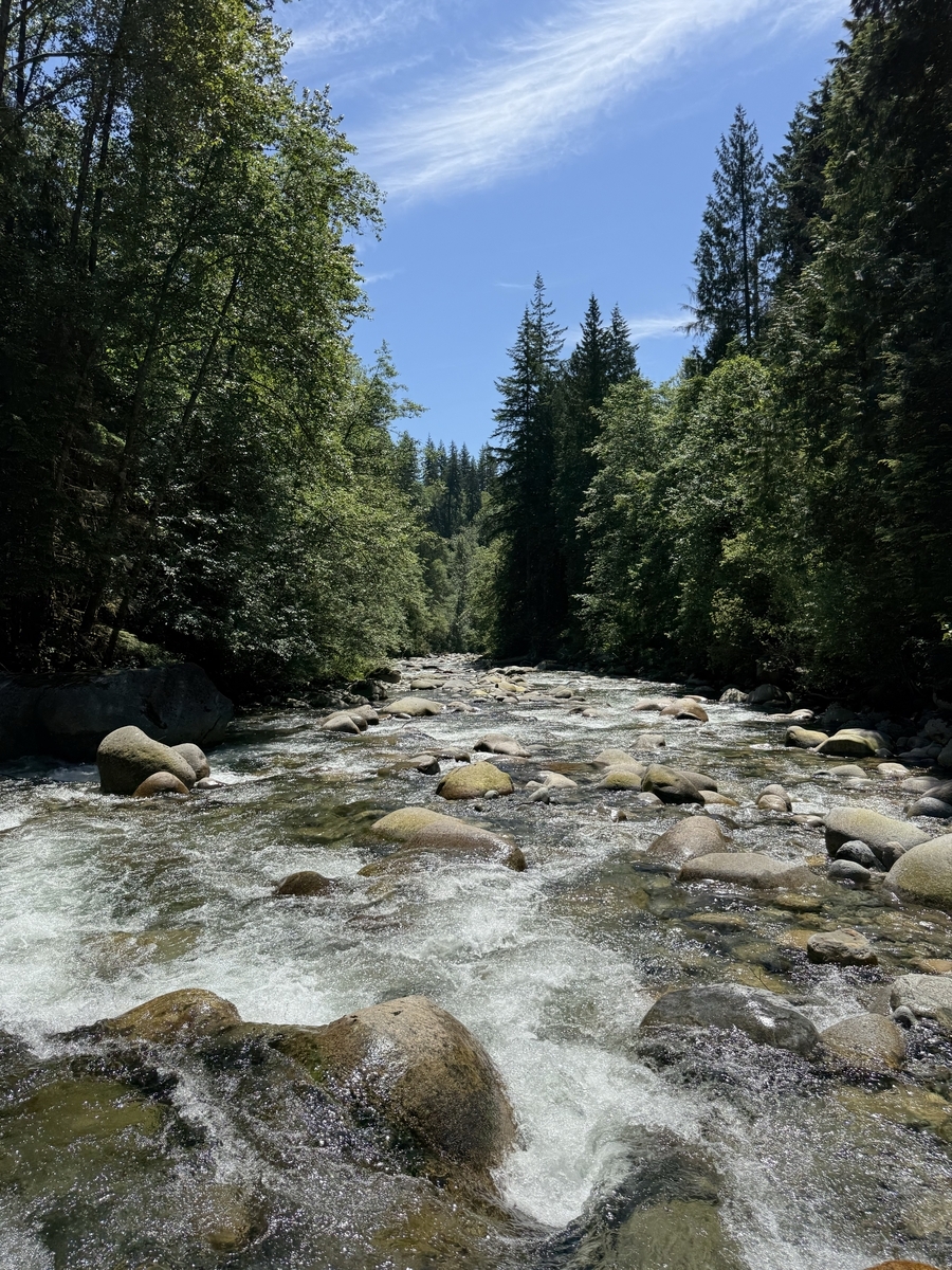 Lynn Canyon