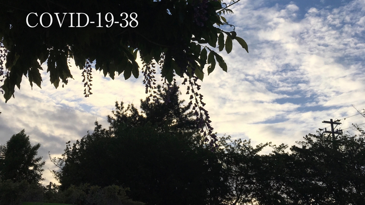 f:id:callemanila:20200423201213j:plain f:id:callemanila:20200423201213j:plain