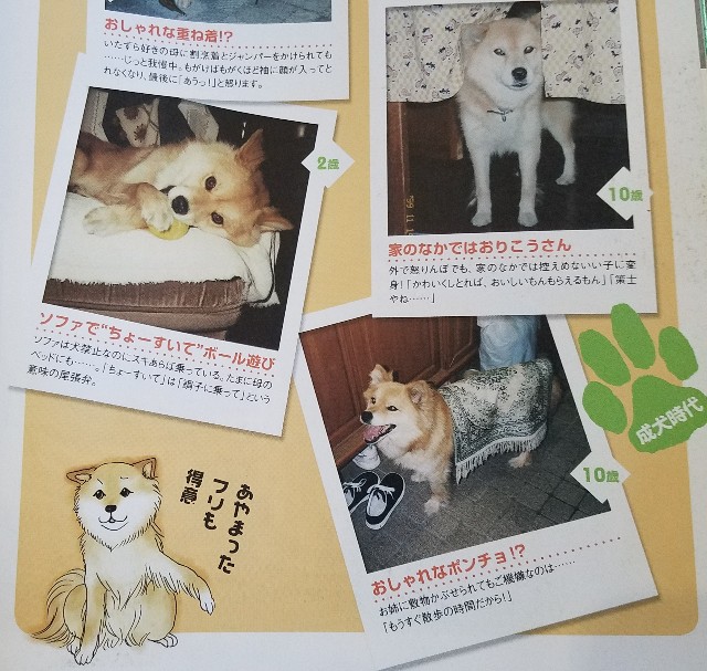 f:id:calling0307:20191004113056j:image f:id:calling0307:20191004113056j:image