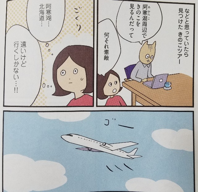 f:id:calling0307:20191113150905j:image f:id:calling0307:20191113150905j:image