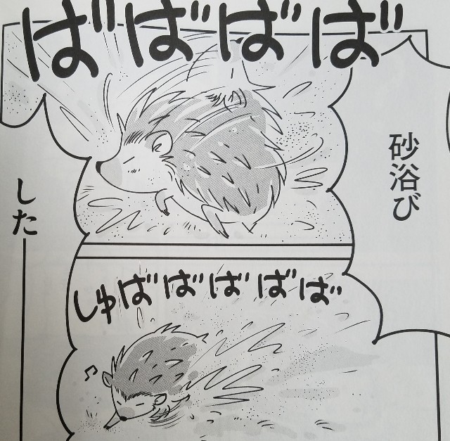 f:id:calling0307:20191213094244j:image f:id:calling0307:20191213094244j:image