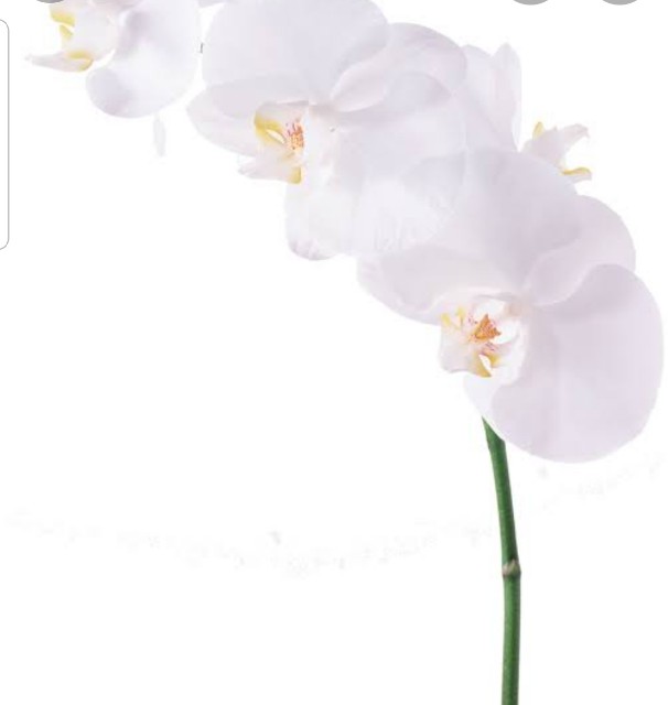 f:id:calling0307:20221110140253j:image f:id:calling0307:20221110140253j:image