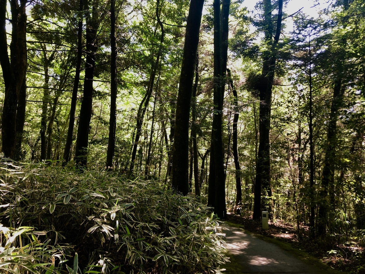f:id:callingU:20190506225750j:plain f:id:callingU:20190506225750j:plain