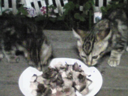 f:id:callithump:20090625194932j:image