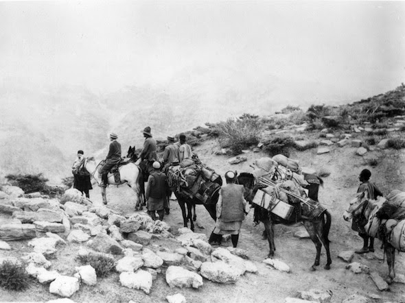 f:id:callmesnake1997:20170406232853j:plain f:id:callmesnake1997:20170406232853j:plain