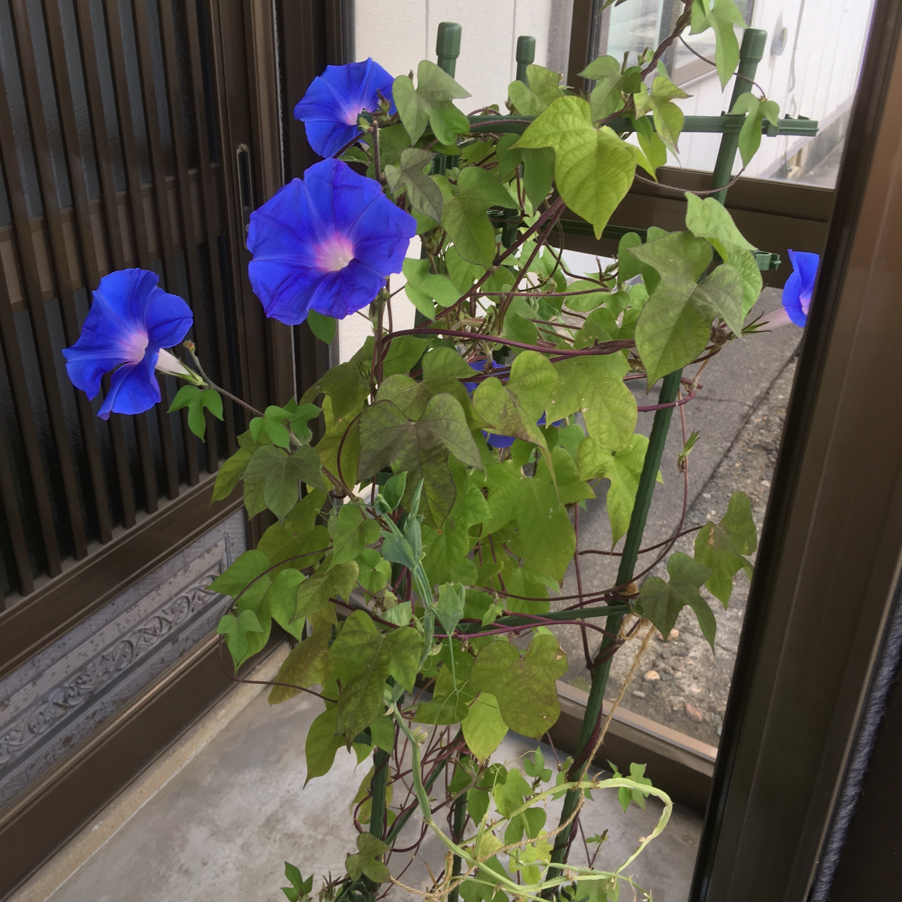 f:id:calmheart10814:20180905171610j:image f:id:calmheart10814:20180905171610j:image