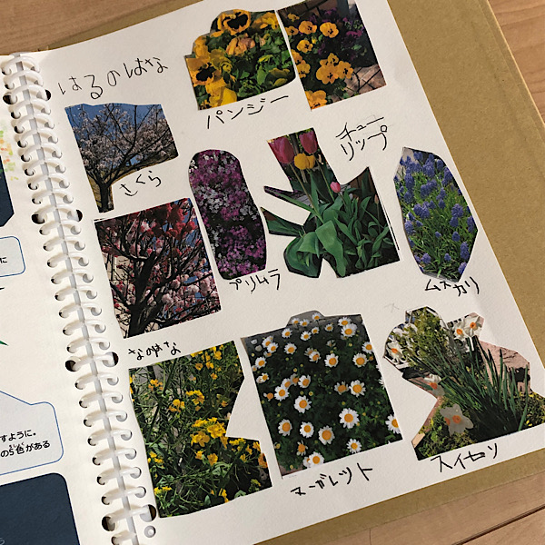子供と一緒に手作り図鑑 花図鑑と季節の図鑑の作り方 早生まれっ子のおうちで勉強対策 子供と一緒に手作り図鑑 花図鑑と季節の図鑑の作り方 早生まれっ子のおうちで勉強対策