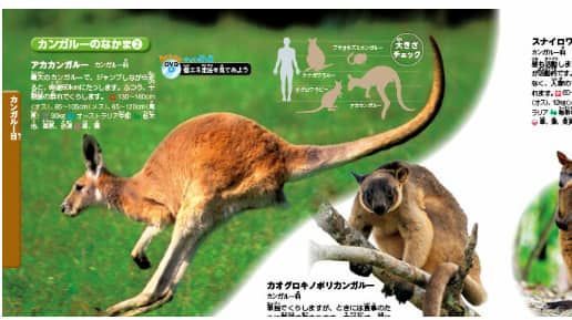 動物図鑑の比較 小学館NEO、学研LIVE、講談社MOVE、角川GETどれを買う