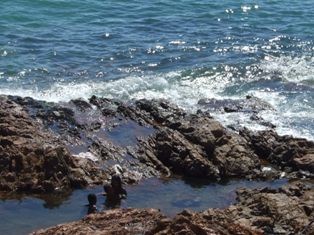 f:id:calorina:20090212014726j:image f:id:calorina:20090212014726j:image