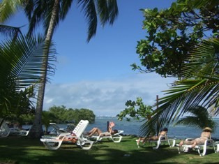 f:id:calorina:20090421014407j:image
