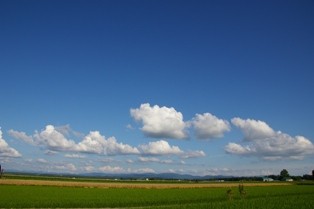 f:id:calorina:20090731160929j:image f:id:calorina:20090731160929j:image