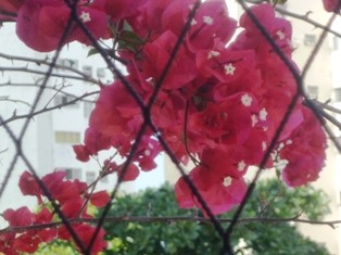 f:id:calorina:20090925210714j:image