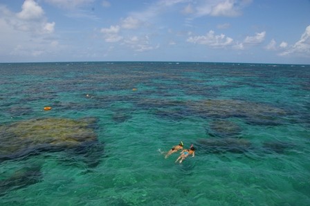 f:id:calorina:20100320110050j:image