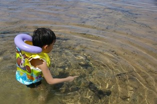 f:id:calorina:20100403105633j:image