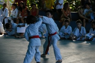 f:id:calorina:20100501133938j:image