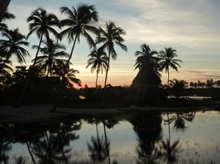 f:id:calorina:20100510051340j:image f:id:calorina:20100510051340j:image