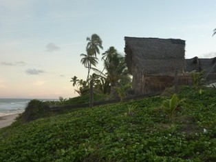 f:id:calorina:20100510051517j:image f:id:calorina:20100510051517j:image