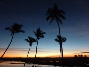 f:id:calorina:20100510054307j:image f:id:calorina:20100510054307j:image