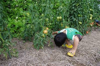 f:id:calorina:20100724001410j:image