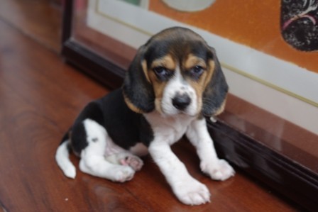 f:id:calorina:20100908003822j:image f:id:calorina:20100908003822j:image