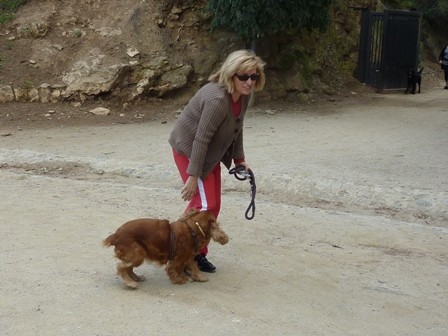 f:id:calorina:20101017123633j:image f:id:calorina:20101017123633j:image
