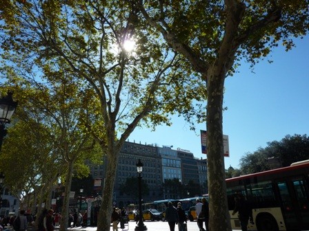 f:id:calorina:20101018074346j:image f:id:calorina:20101018074346j:image