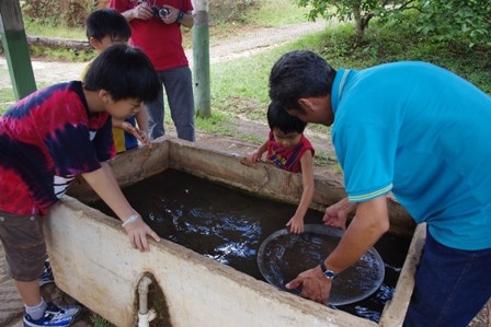 f:id:calorina:20110228004603j:image
