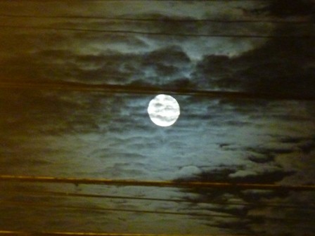 f:id:calorina:20110319183017j:image f:id:calorina:20110319183017j:image