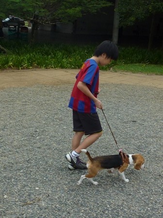 f:id:calorina:20110424102805j:image f:id:calorina:20110424102805j:image