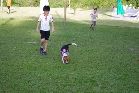 f:id:calorina:20110507161850j:image