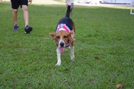 f:id:calorina:20110507161852j:image