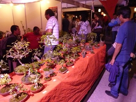 f:id:calorina:20110829065729j:image f:id:calorina:20110829065729j:image