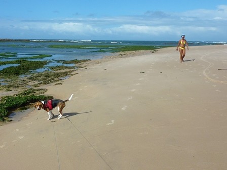 f:id:calorina:20110830204253j:image