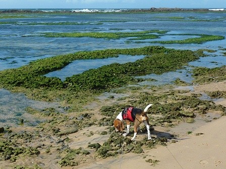 f:id:calorina:20110830204333j:image