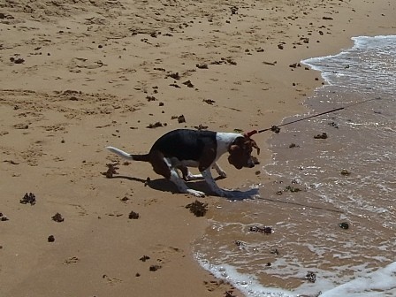 f:id:calorina:20110904105205j:image