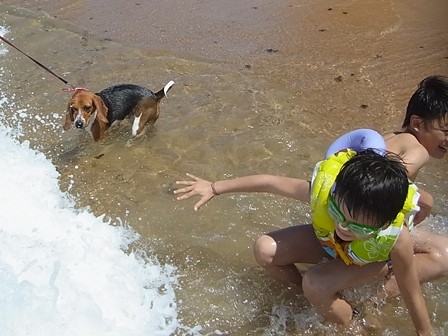 f:id:calorina:20110904110113j:image