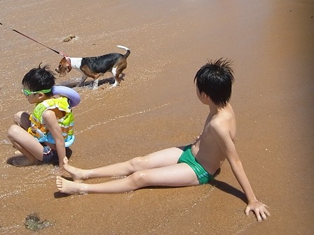 f:id:calorina:20110904110135j:image