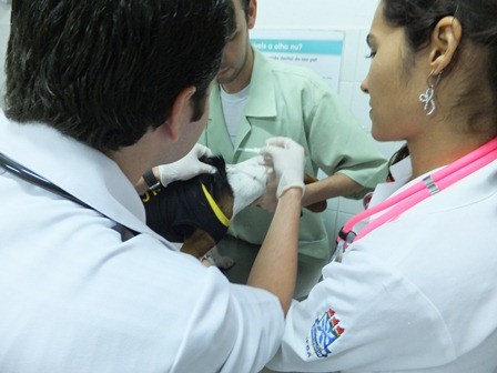 f:id:calorina:20110907003759j:image