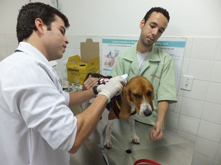 f:id:calorina:20110907003836j:image