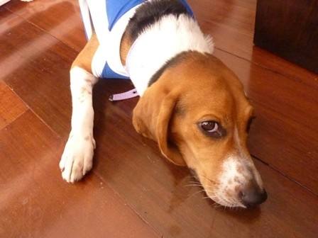 f:id:calorina:20111029034323j:image f:id:calorina:20111029034323j:image
