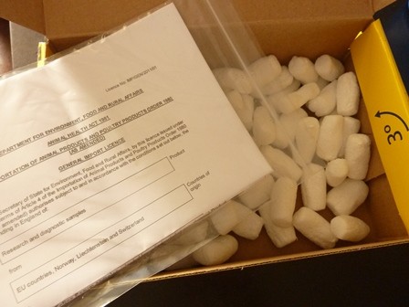 f:id:calorina:20111103015602j:image f:id:calorina:20111103015602j:image