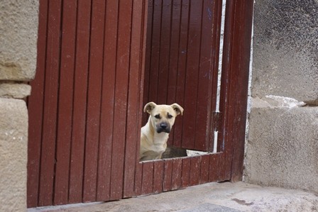 f:id:calorina:20111121161901j:image