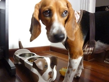 f:id:calorina:20120124150444j:image