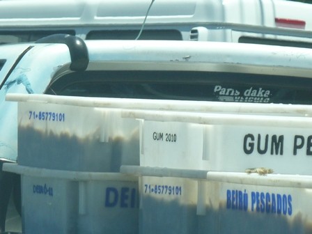 f:id:calorina:20120127121537j:image f:id:calorina:20120127121537j:image